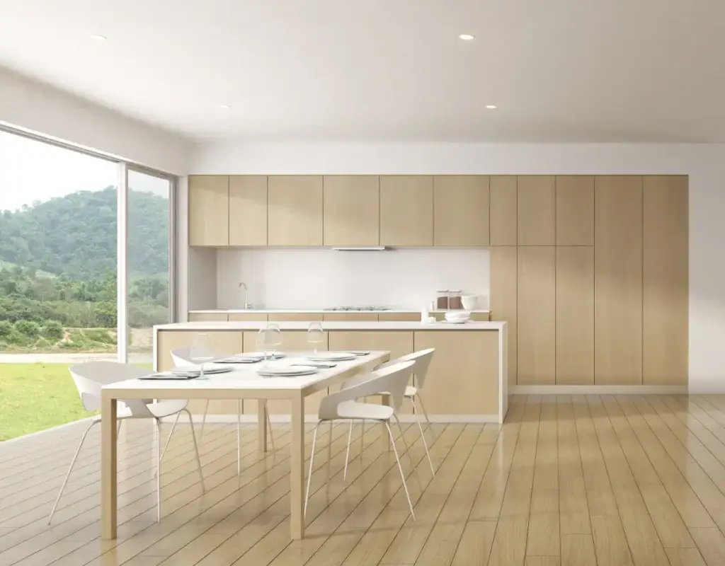 Sleek Contemporary Kitchen